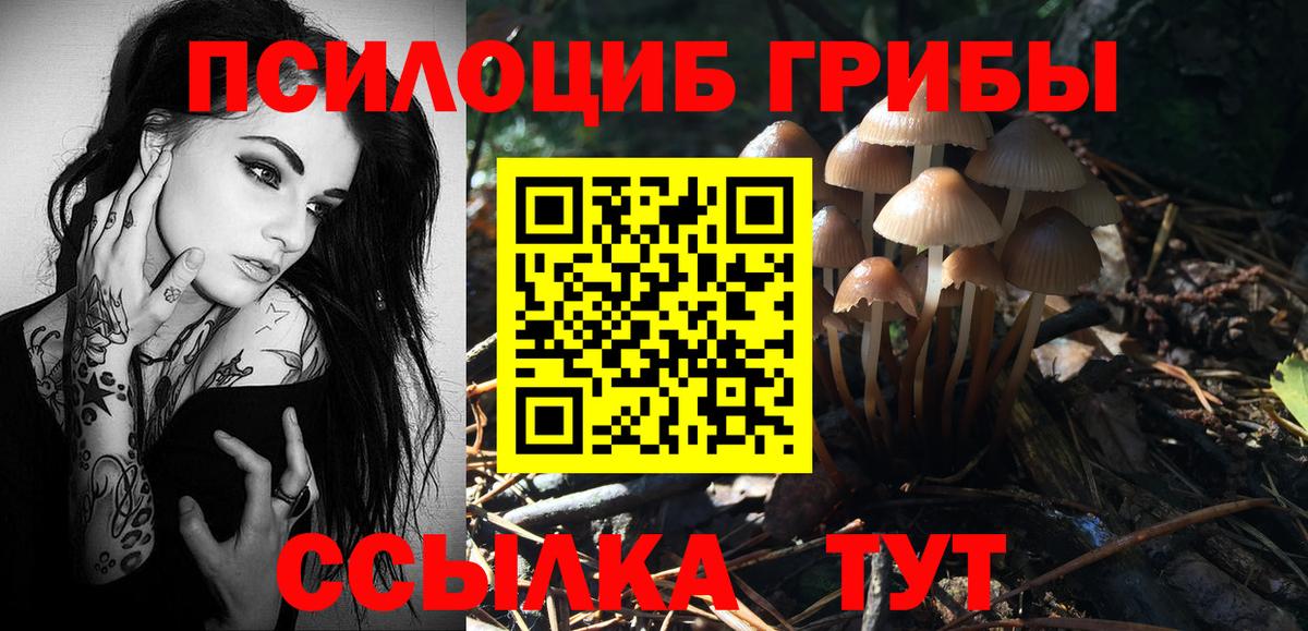Псилоцибиновые грибы Magic Shrooms Каменск-Уральский